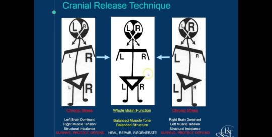 cranial-release-technique-diagram